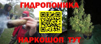 ПСИЛОЦИБИНОВЫЕ ГРИБЫ Ангарск