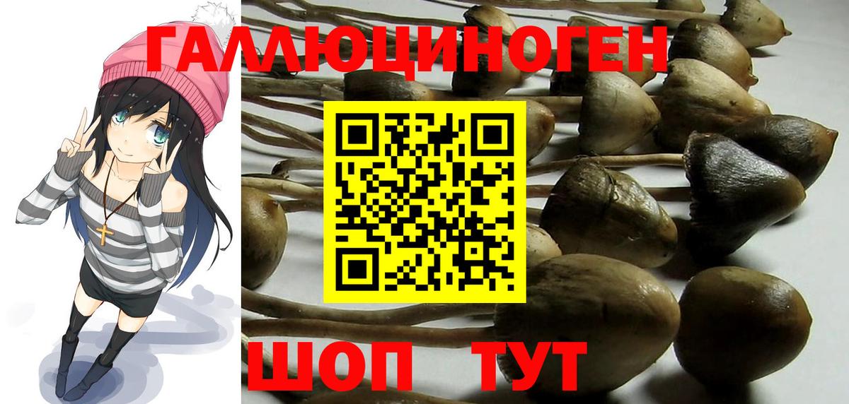 Псилоцибиновые грибы мицелий Сегежа